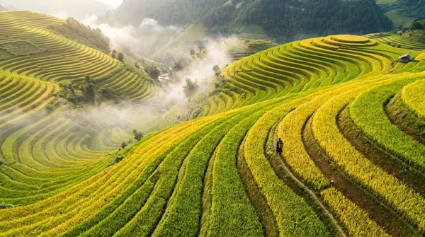 Bình minh trên ruộng bậc thang Mù Cang Chải nhìn từ trên cao
